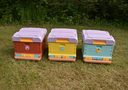 INSULATED BEEHIVE SET - 1 DEEP – ASSEMBLED – INCLUDES ASSEMBLED FRAMES AND FOUNDATIONS