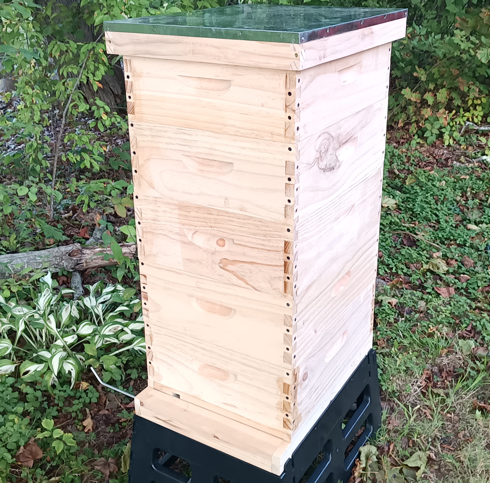 BEEHIVE SET - 5 MEDIUM – ASSEMBLED – NO FRAME