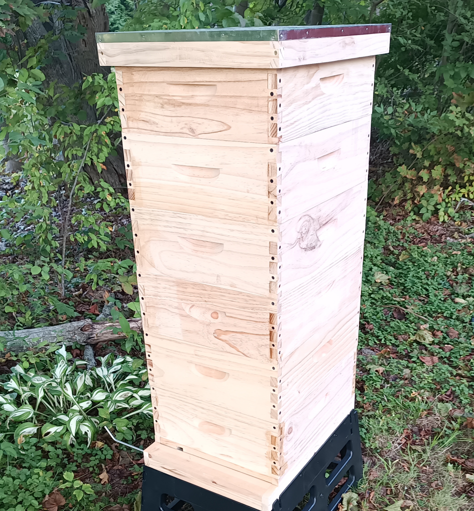 BEEHIVE SET - 6 MEDIUM – ASSEMBLED – NO FRAME