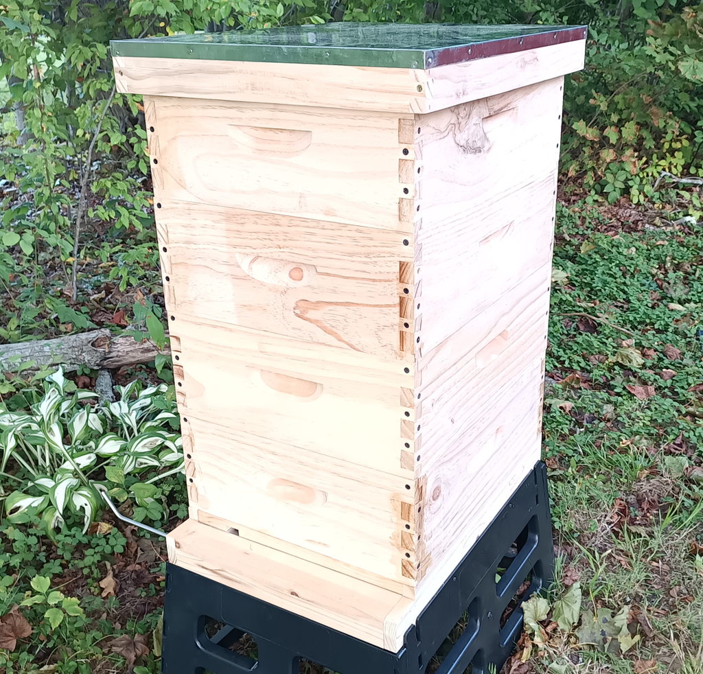 BEEHIVE SET - 4 MEDIUM – ASSEMBLED – INCLUDES ASSEMBLED FRAMES AND FOUNDATIONS