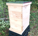 BEEHIVE SET - 4 MEDIUM – ASSEMBLED – INCLUDES ASSEMBLED FRAMES AND FOUNDATIONS