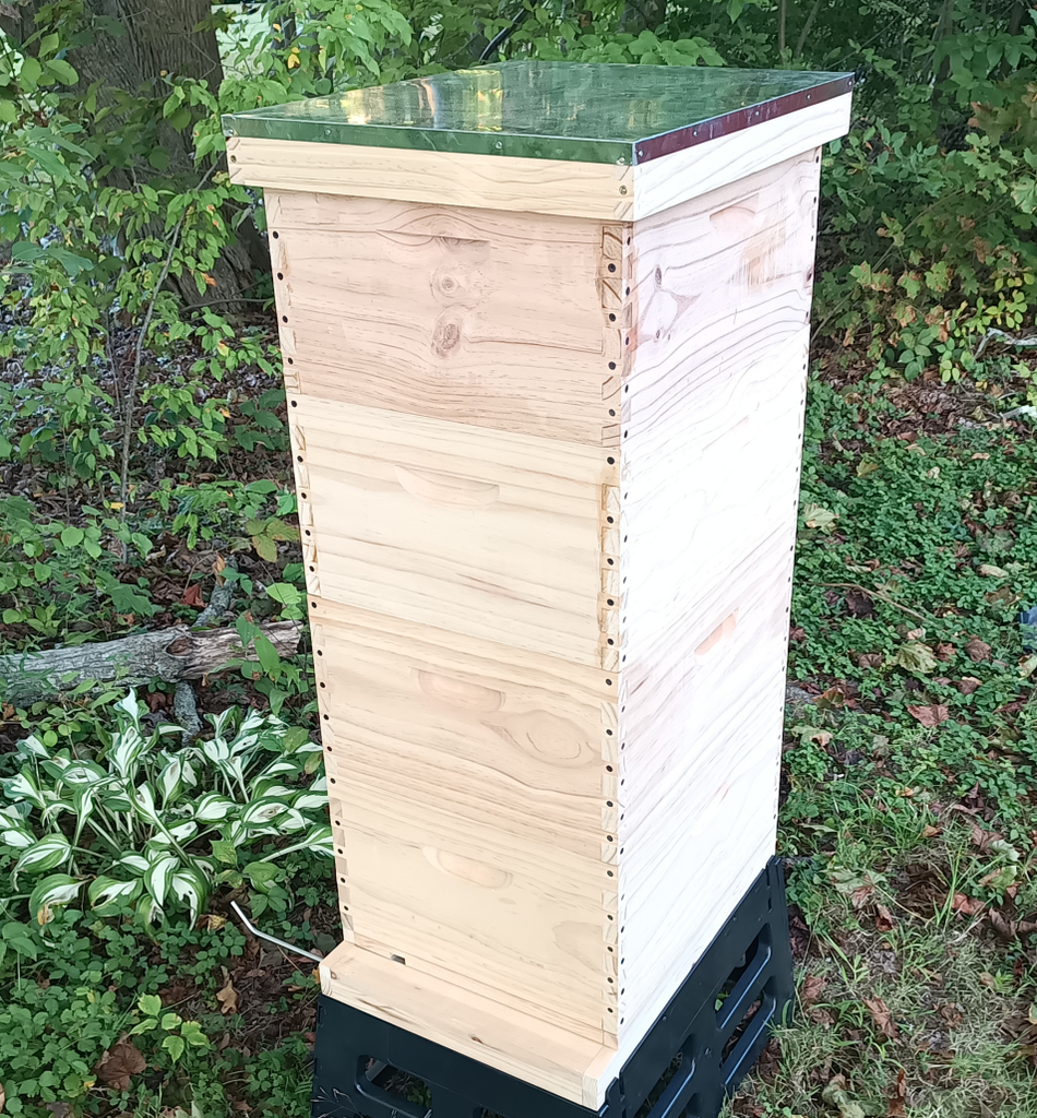 BEEHIVE SET - 4 DEEP – ASSEMBLED – INCLUDES ASSEMBLED FRAMES AND FOUNDATIONS