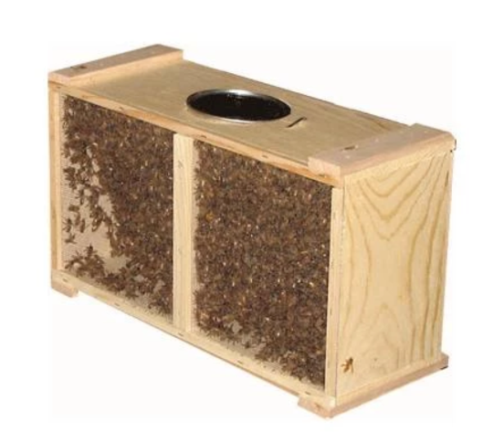 3LB PACKAGE WITH ITALIAN-HYBRID QUEEN - AVAILABLE FOR PICKUP END OF MARCH 2026