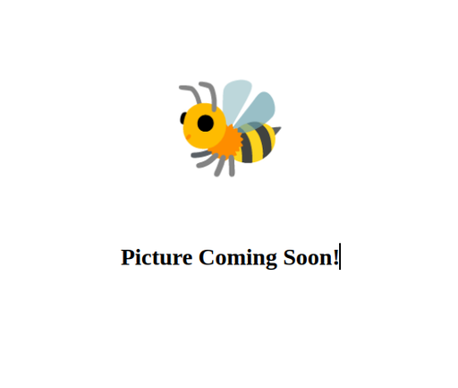 [A1720] FRAME FOR COMB HONEY – KIT WITH 12 CASSETTES